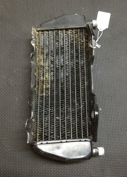 1997- 2002 Kawasaki KX250 KX125 Radiator Left Right 39061-0013 39061-1262 (9E)